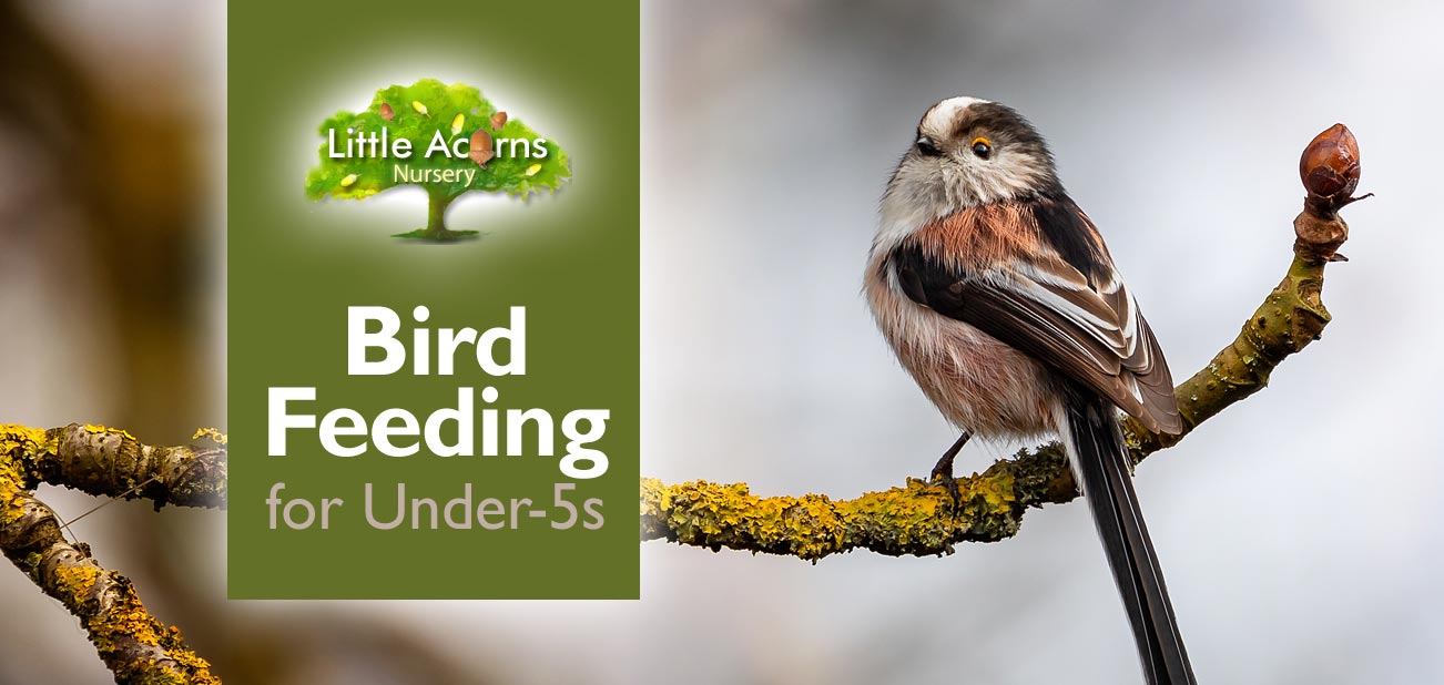 Bird Feeding for Under-Fives