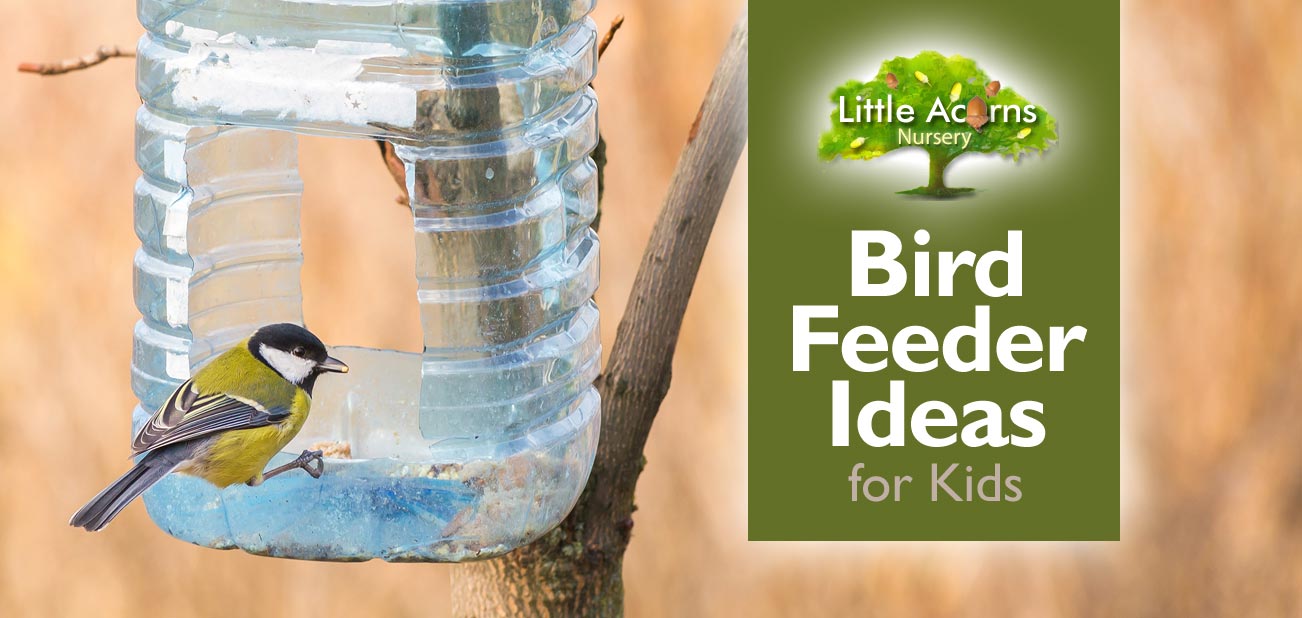 Bird Feeder Ideas for Kids