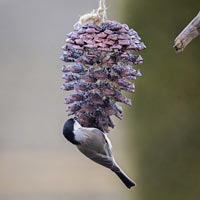 Making simple bird feeders is one of several ways children can encourage wildlife to gardens.