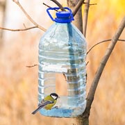 Making home-made bird feeders is a fun activity for children; it's creative, educational, teaches children new skills and gets children more in tune with nature.