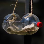 This recycled drinks bottle makes an excellent bird feeder (for seed or water).