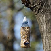 This home-made bird feeder features a plastic spoon to dispense the seed and give birds somewhere to land.