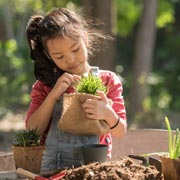 Planting seedlings, vegetables, plants or herbs in the garden is one of life's simple pleasures for children and adults alike.