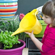 Children will need water their little plants every day, to keep the soil moist.