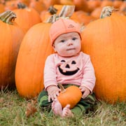 Infants and pumpkin farms are excellent photo opportunities!