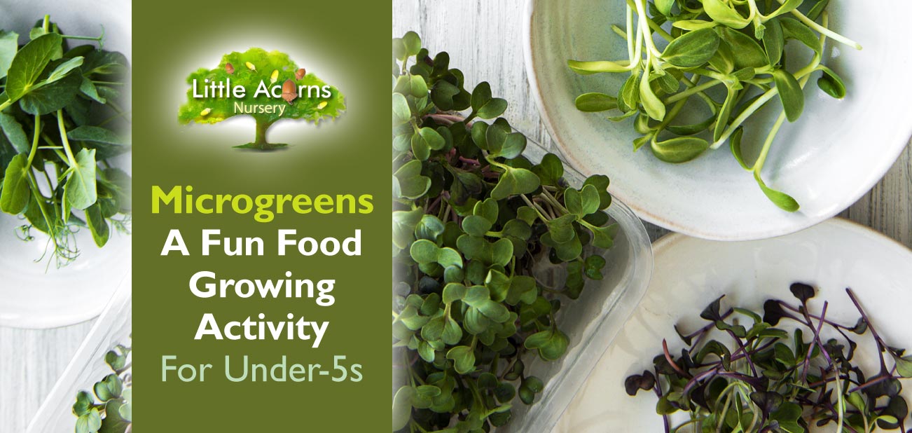 Microgreens: A Fun Food Growing Activity for Under-Fives