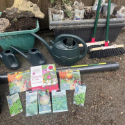 In February, we bought seeds and strawberry plants for the children, so they can begin the process of growing of their own vegetables and fruit at the nursery.