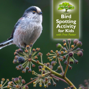 Bird Spotting Activity for Kids - with Free Poster