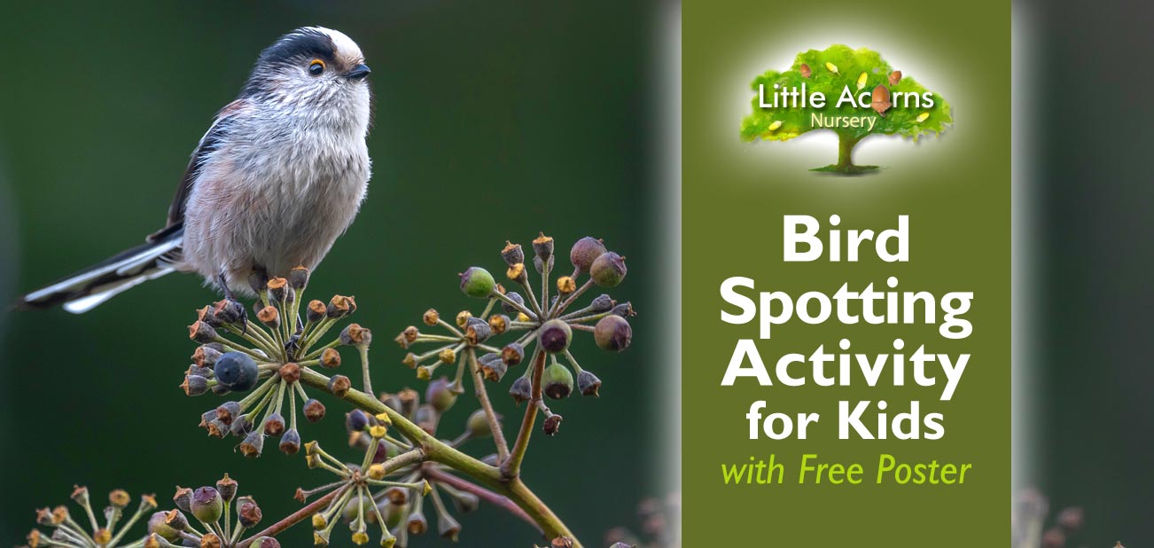 Bird Spotting Activity for Kids (with Free Poster)