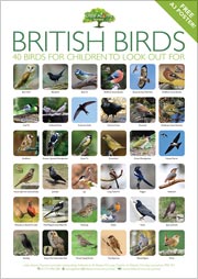 Free A3 bird poster for children use to see how many birds they can spot and identify over the course of a year. Read on (below) for download instructions.