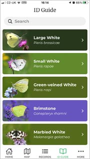 The 'Big Butterfly Count' smartphone app has a useful section to help you identify which butterflies and daytime-flying moths you see.