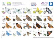 If you don't have a smartphone or can't use the app, downloadable charts of the butterflies in your area are available from the Big Butterfly Count website. This is the one for England for the Big Butterfly Count in 2023.