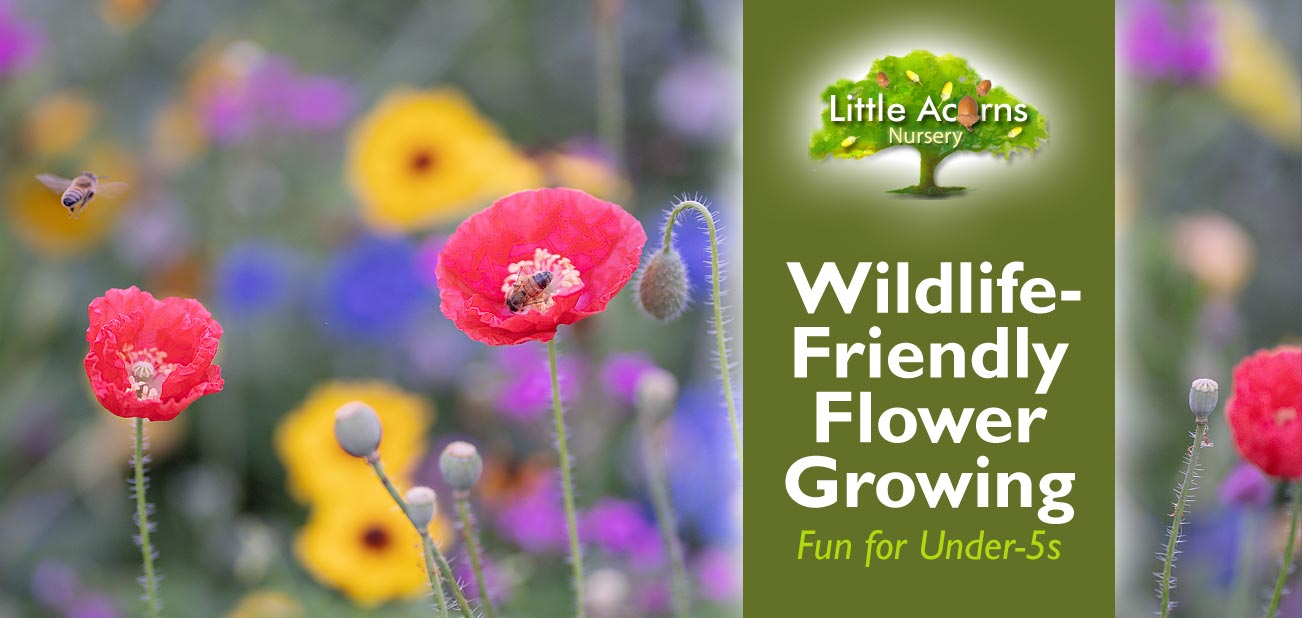Wildlife-Friendly Flower Growing Fun for Under-Fives