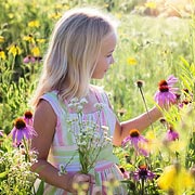 This wildflower-growing activity gets children outdoors, closer to nature, as well as doing some good for conservation and wildlife.