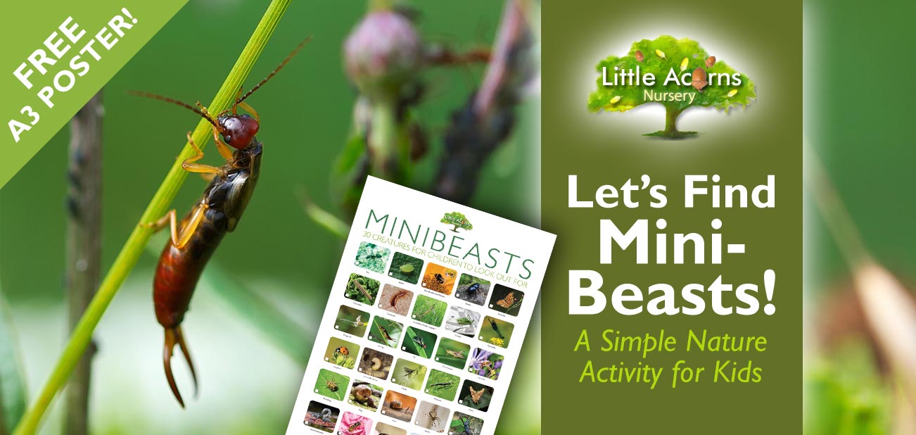 Let’s Find Minibeasts! A Simple Nature Activity for Kids (With Free Poster)