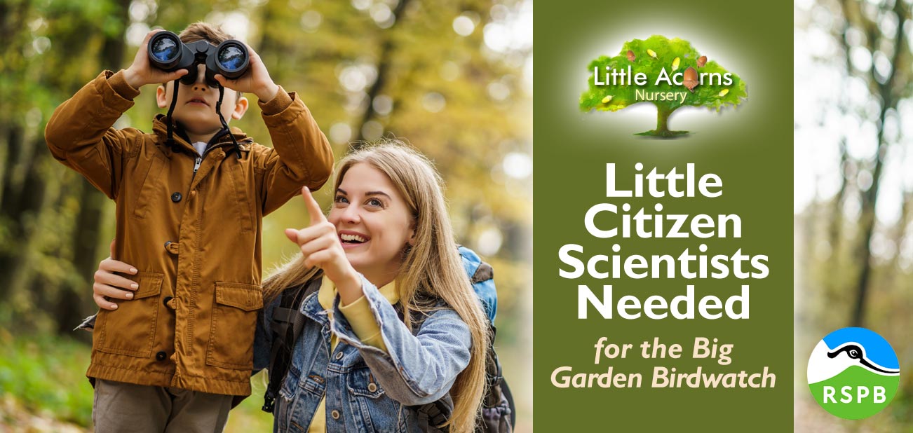 Little Citizen Scientists Needed for the Big Garden Birdwatch