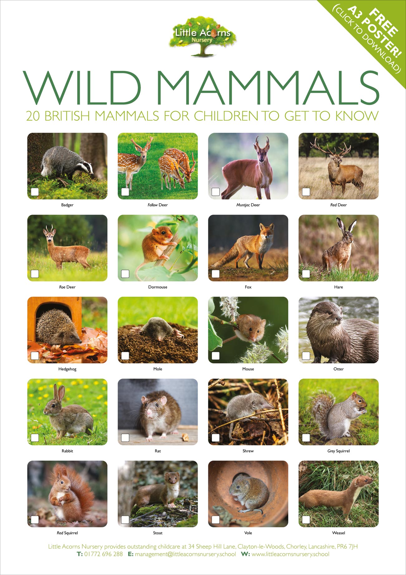 Preview of the free Wild Mammals poster (click to view or download in Acrobat PDF format).