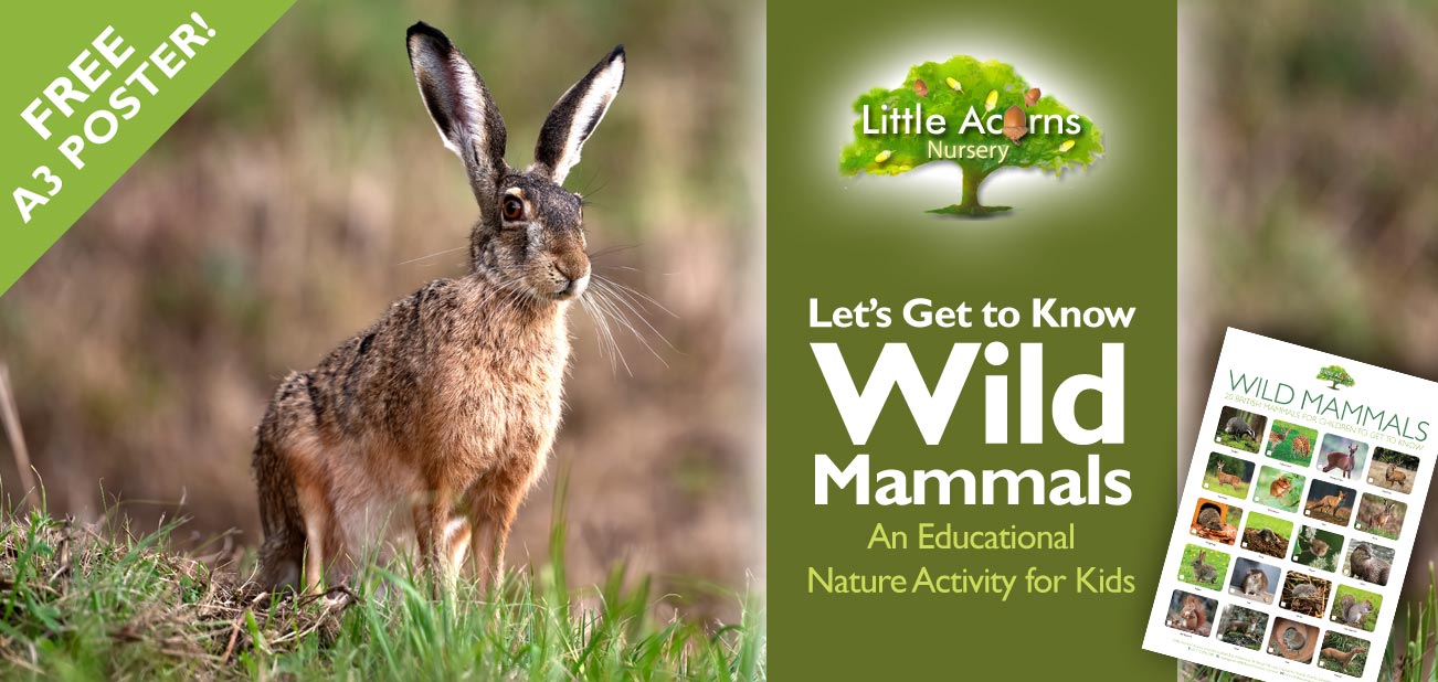 Let's Get to Know Wild Mammals! An Educational Nature Activity for Kids — with Free Poster
