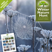 Winter Nature Hunt — a Fun Activity for Children (with Free Reference Sheet)