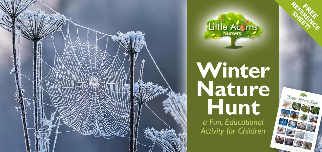 Winter Nature Hunt — a Fun, Educational Activity for Children (with Free Reference Sheet!)