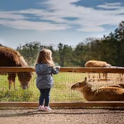 Children can get closer to wild flora and fauna if they live near a wildlife sanctuary, zoo, or National Park.
