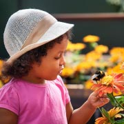 World Bee Day is a wonderful opportunity for families and supervised children to get involved in something meaningful, fun, and full of learning opportunities.