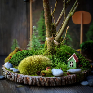 Beautiful fairy garden design with different mosses to denote bushes, sticks for trees and house focal point.