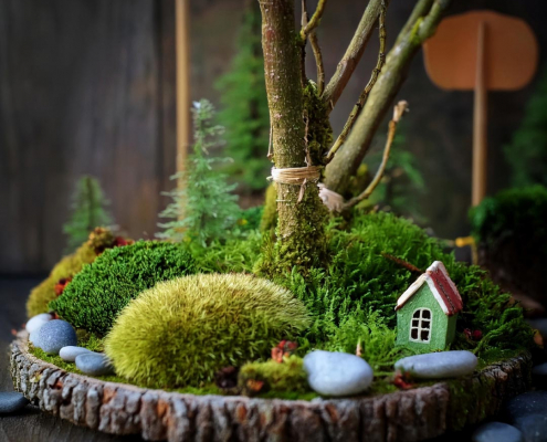 Beautiful fairy garden design with different mosses to denote bushes, sticks for trees and house focal point.