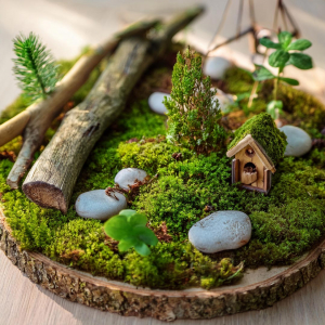 Fairy garden on a log slice with moss, pebbles, sticks and pretend trees.