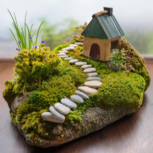 Fairy garden on a rock with pebble path and little house.