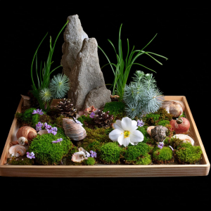 Fairy garden on a wooden tray with shells, feature rocks, flowers and fir tree foliage used to represent bushes or trees.