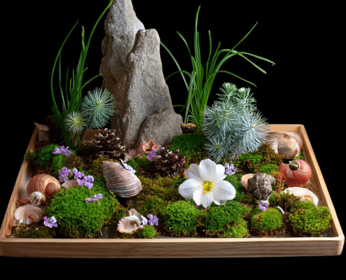 Fairy garden on a wooden tray with shells, feature rocks, flowers and fir tree foliage used to represent bushes or trees.