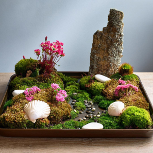 Mini garden with moss, seashells, feature rock and pebble stream.