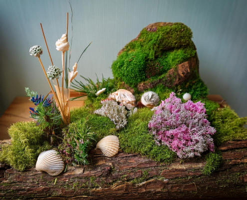 Mini fairy garden on a log with seashells, mossy outcrop and lichen.
