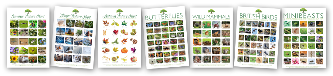 More free nature-based activity posters for children and families to download.