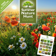 Summer Nature Hunt — a Fun & Educational Activity for Children (Free Reference Poster!)