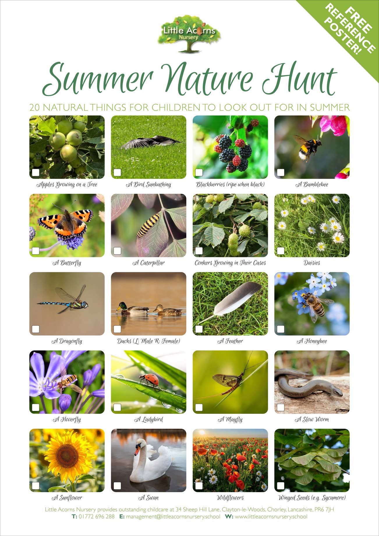 Here's what the Summer Nature Hunt poster looks like - click to view or download it in high resolution.