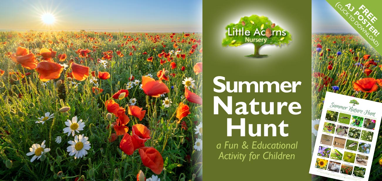 Summer Nature Hunt — a Fun & Educational Activity for Children (with Free Reference Poster!)