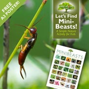 Composting is a brilliant opportunity to link to a Minibeast Nature Hunt activity. Grab your free minibeast poster, so your child can learn more about the helpful creatures they find.