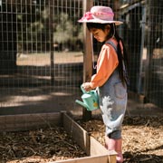 If the compost starts to dry out, let your child sprinkle a little water with a small watering can.