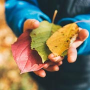 Spending time outdoors gathering materials will help children understand where natural resources come from and get them out in the fresh air, moving, playing, and making discoveries.