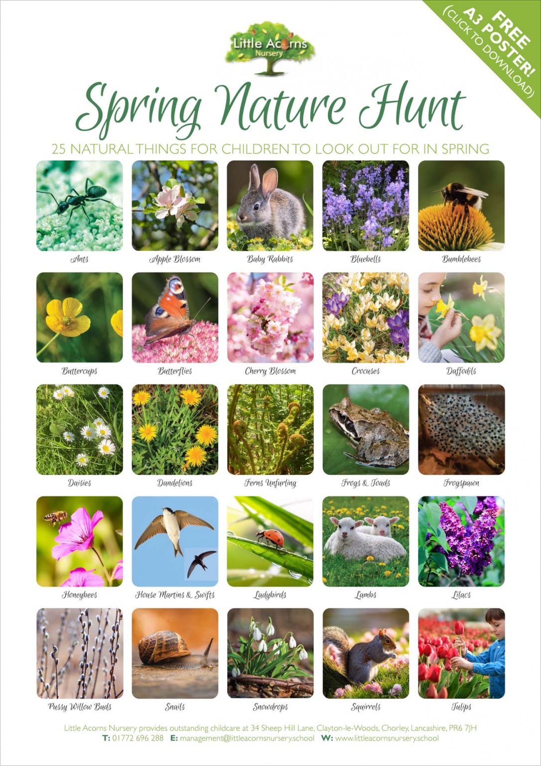Spring Nature Hunt: a Fun, Educational Activity for Children (With Free ...