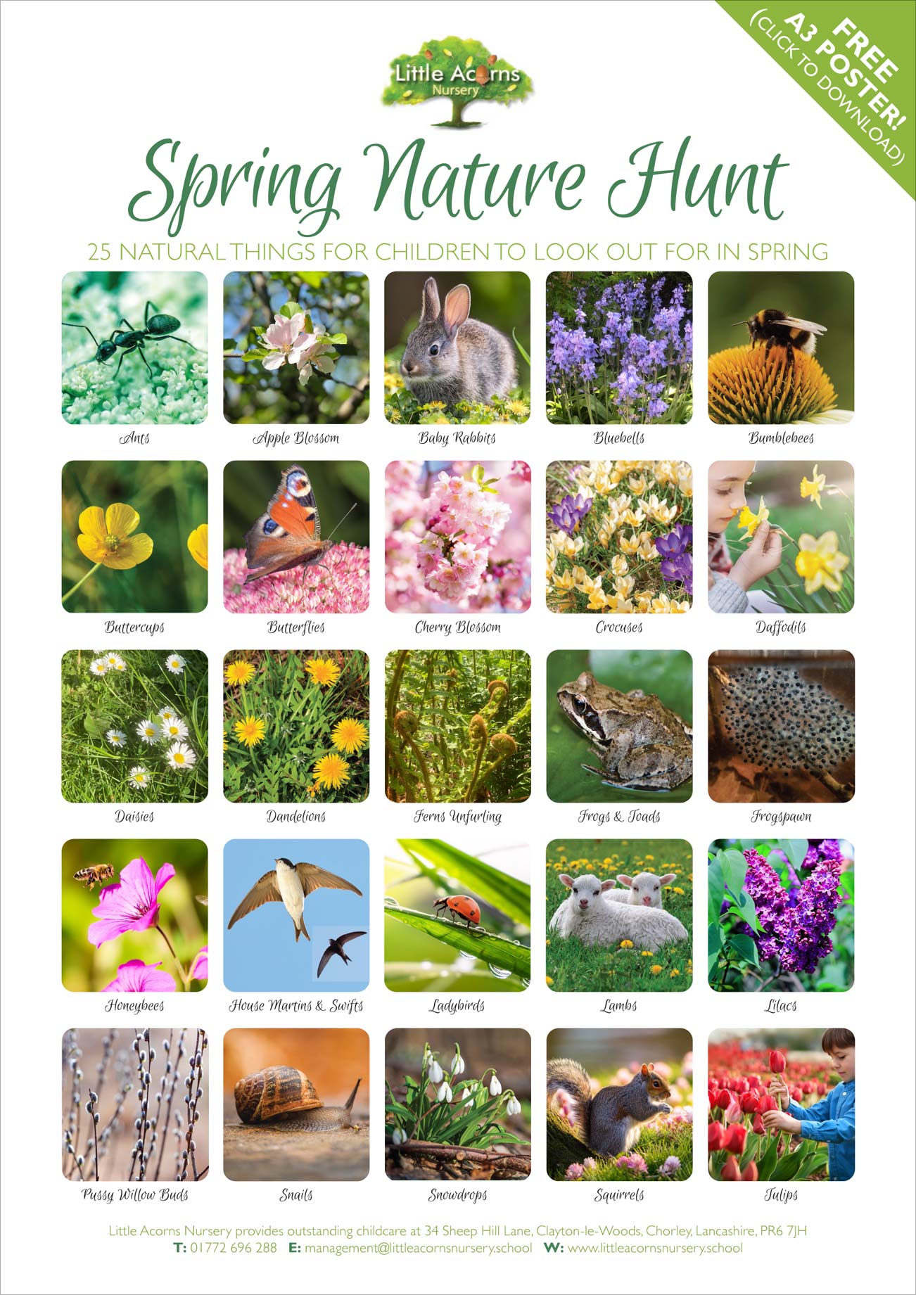Preview of the free Spring Nature Hunt reference poster. Click to save it in high-resolution Acrobat PDF format.