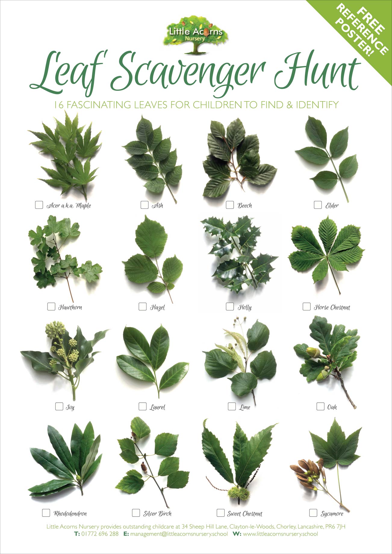 Preview image showing the Leaf Scavenger Hunt poster that's free to download.