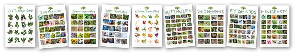 Many exciting nature-inspired posters are available for children and families to download free of charge.