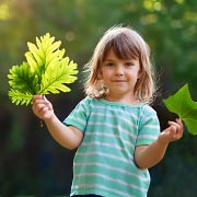 How many different types of leaves can your child find?