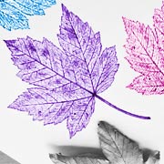 Printing with leaves is simple, quick, fun, and effective. 