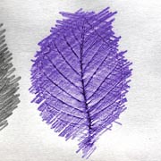 Leaf rubbings are a good way for children to hone mark-making and fine motor skills. 